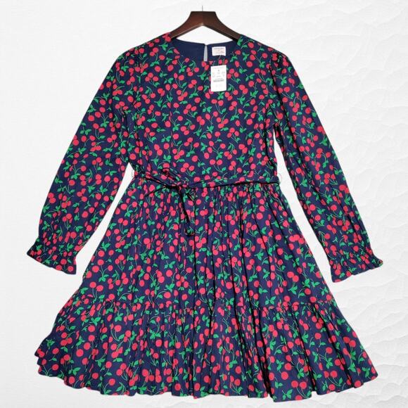 J. Crew Crewcuts Girl’s Size 14 Blue Cherry Dress Long Sleeves Lined Spring NEW